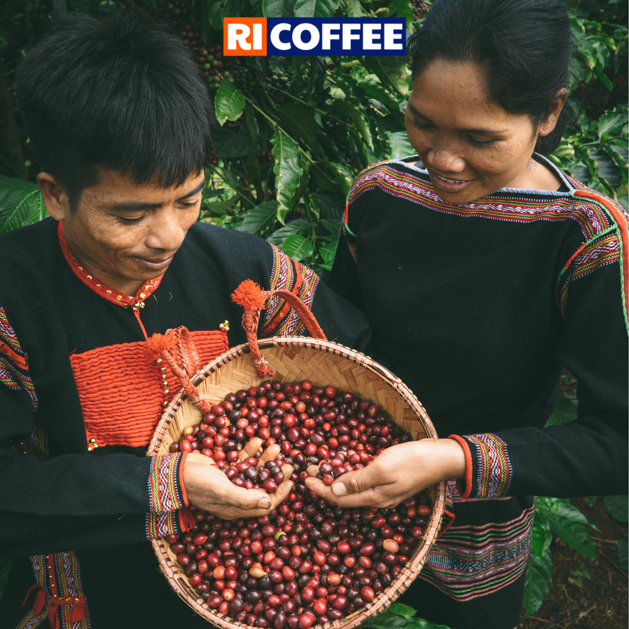 Cà phê nguyên chất Robusta Gia Lai - 500gr - By [Ri Coffee] – Song Uyên ...