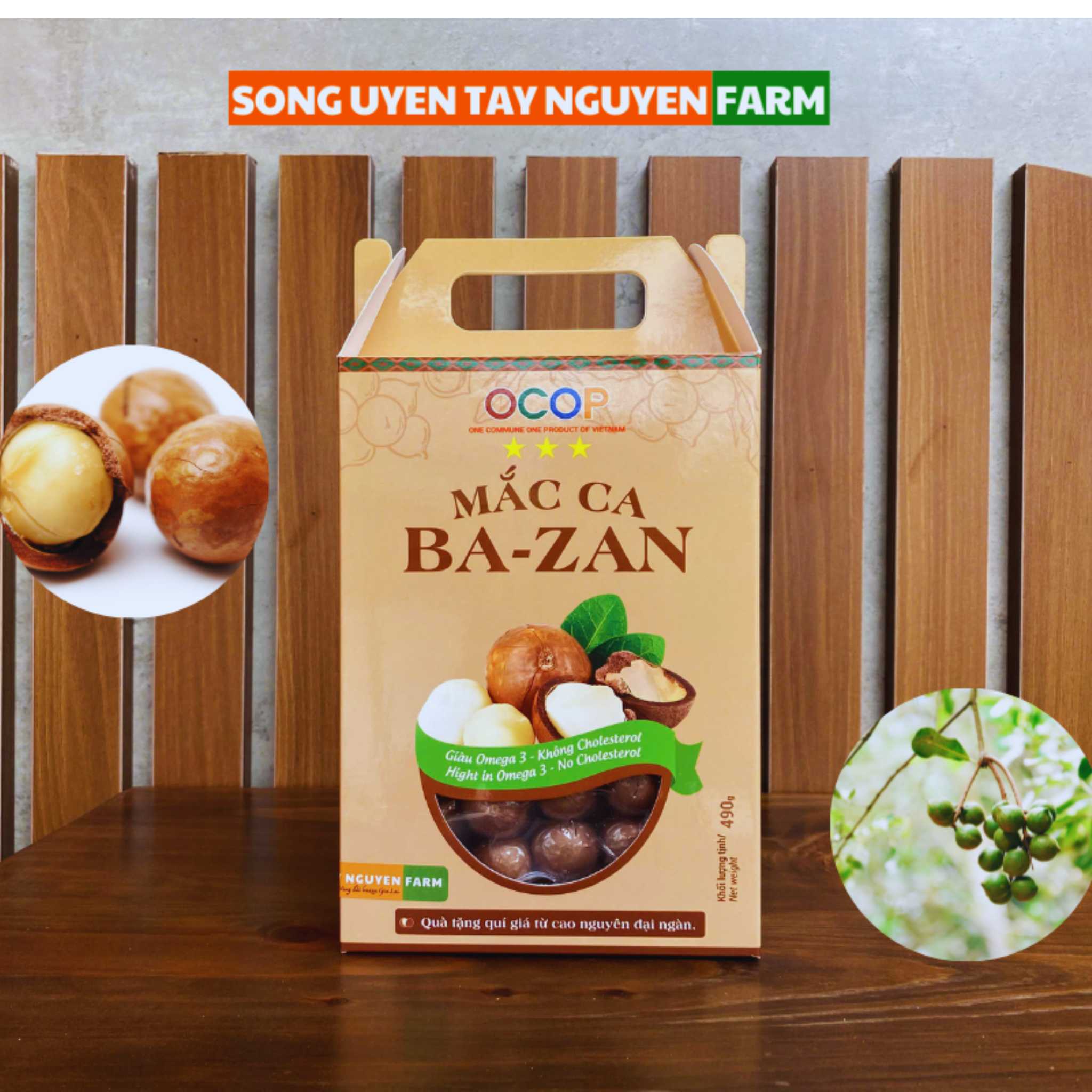 Sản phẩm OCOP - Hạt Macca Bazan Kbang Gia Lai – Song Uyên Tây Nguyên