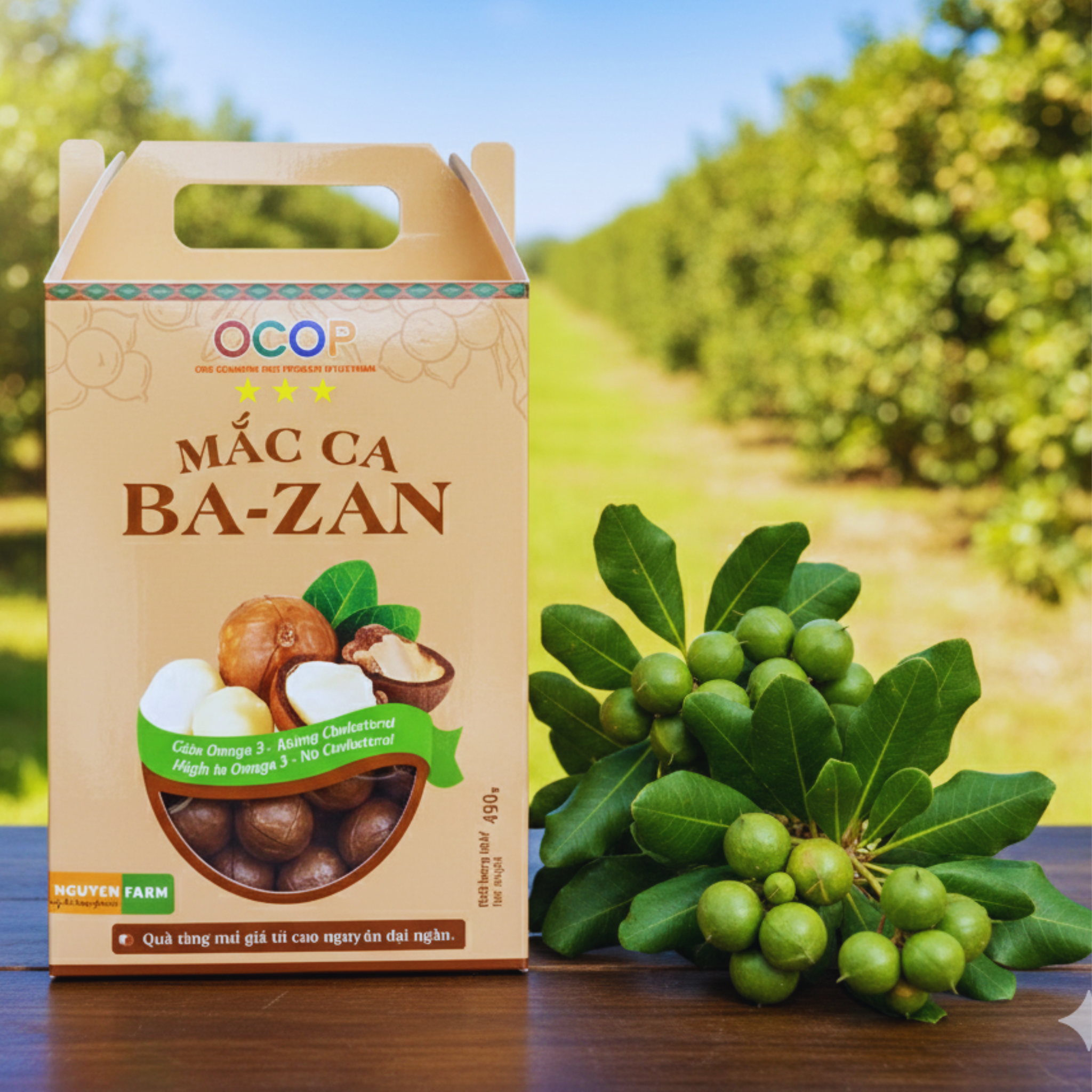 Sản phẩm OCOP - Hạt Macca Bazan Kbang Gia Lai – Song Uyên Tây Nguyên