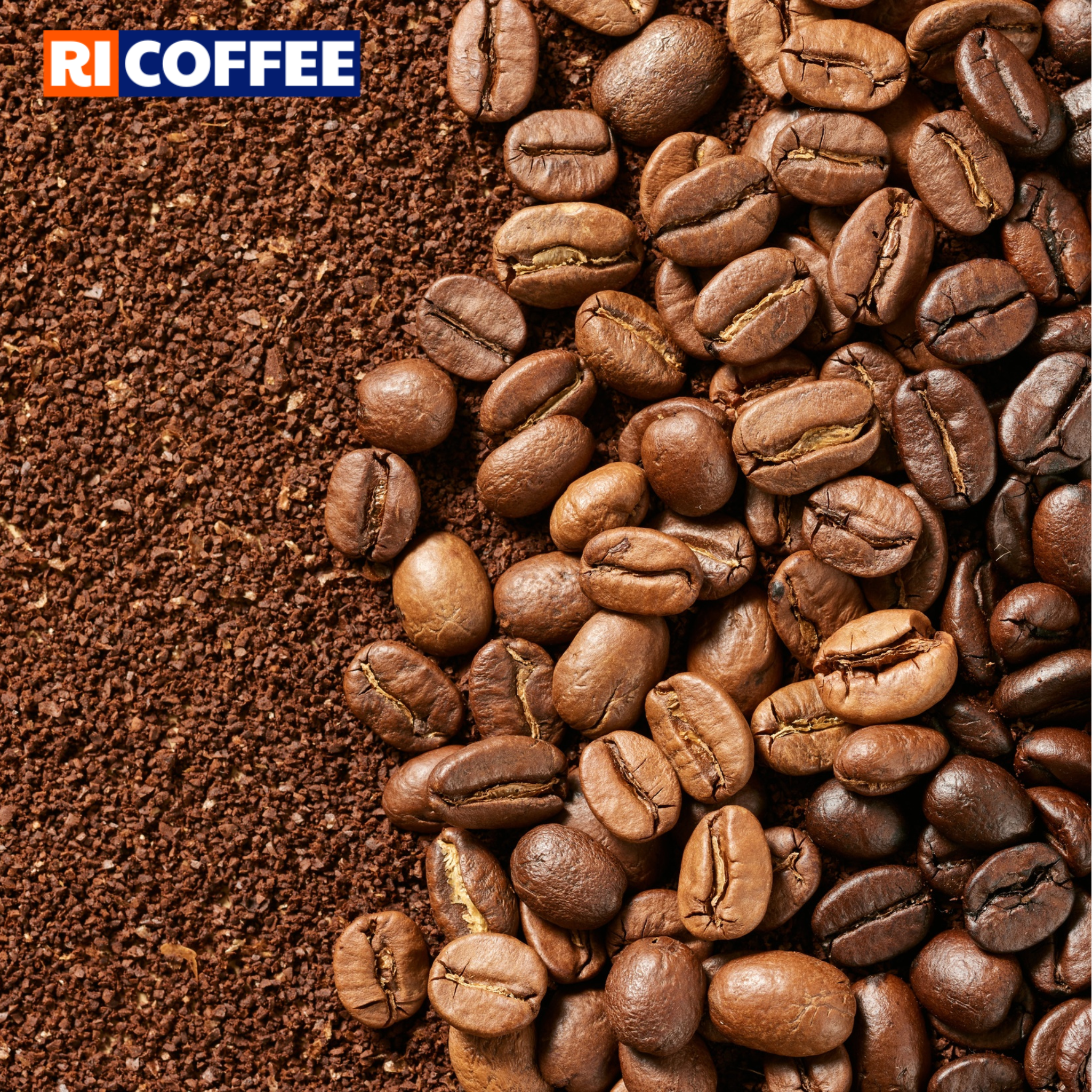 Cà phê nguyên chất Robusta Gia Lai - 500gr - By [Ri Coffee] – Song Uyên ...