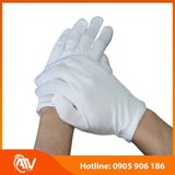  Găng Tay Vải Cotton Trắng Co Giãn 4 Chiều 