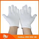  Găng Tay Vải Cotton Trắng Co Giãn 4 Chiều 