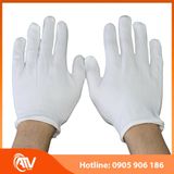  Găng Tay Vải Cotton Trắng Co Giãn 4 Chiều 