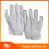  Găng Tay Vải Cotton Trắng Co Giãn 4 Chiều 