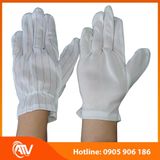  Găng Tay Chống Tĩnh Điện Phủ Hạt Nhựa 1 Chun 