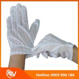  Găng Tay Chống Tĩnh Điện Phủ Hạt Nhựa 1 Chun 