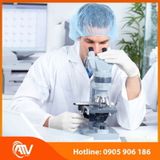  Găng Tay Y Tế Không Bột Nitrile Supérieur Màu Trắng 