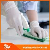  Găng Tay Y Tế Latex Vglove Care Có Bột 