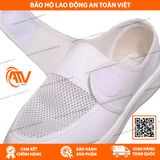  Giày Phòng Sạch Chống Tĩnh Điện GCTD03 