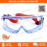  Kính chống hóa chất V-maxx 