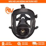  Mặt nạ thở MSA 10202909 