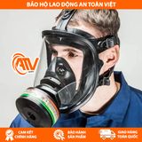  Mặt nạ thở MSA 10202909 