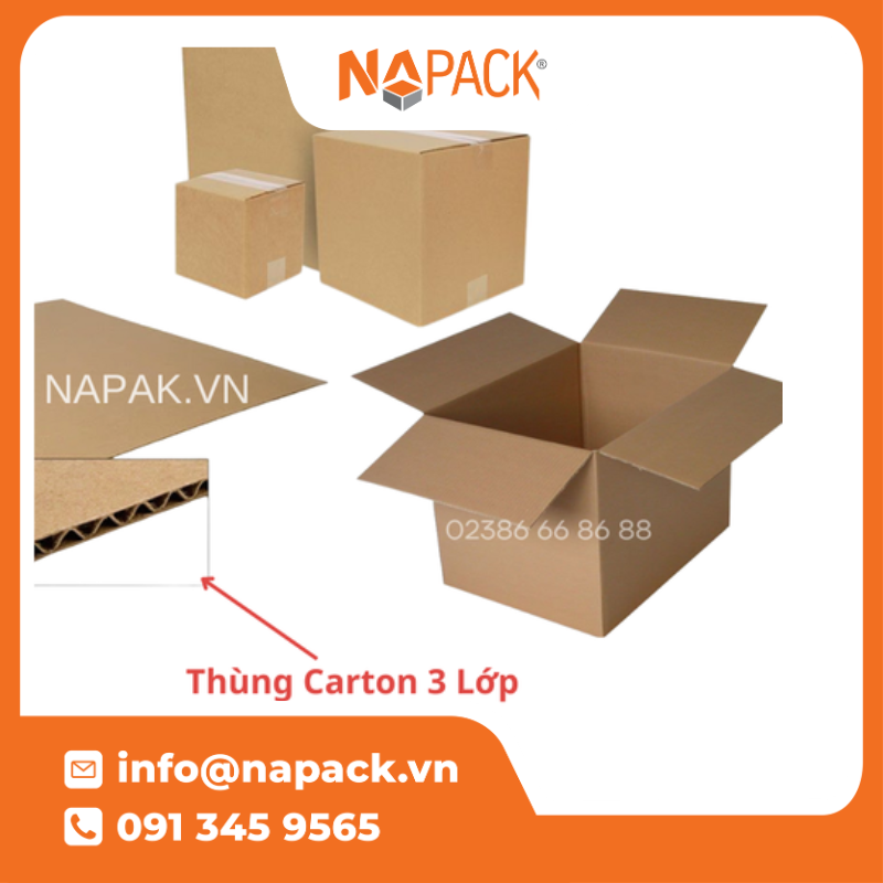 Thùng Carton 3 Lớp