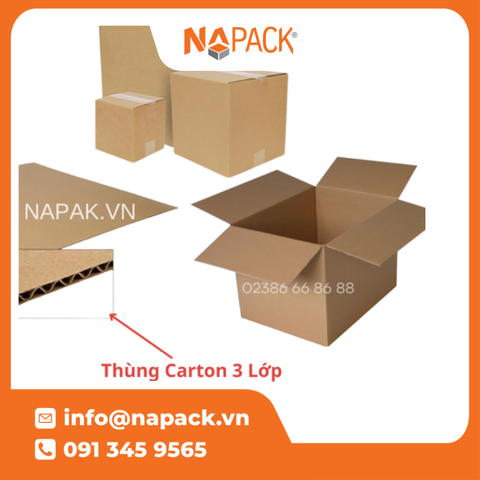 Thùng Carton 3 Lớp