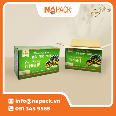 Thùng Carton In Offset Bồi Sóng E · B · F (3–5 Lớp)