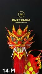 ĐẦU ĐUÔI RỒNG MALAY 14-M