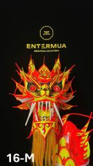 ĐẦU ĐUÔI RỒNG MALAY 16-M