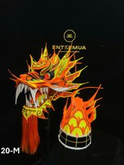 ĐẦU ĐUÔI RỒNG MALAY 20-M