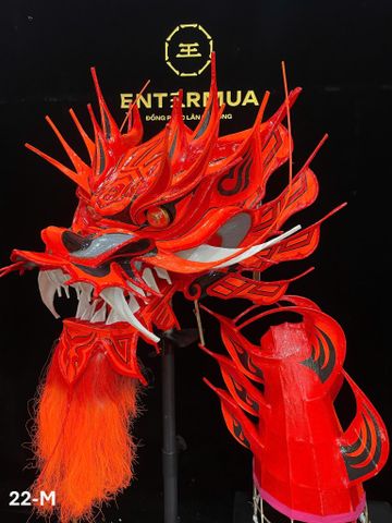 ĐẦU ĐUÔI RỒNG MALAY 22-M