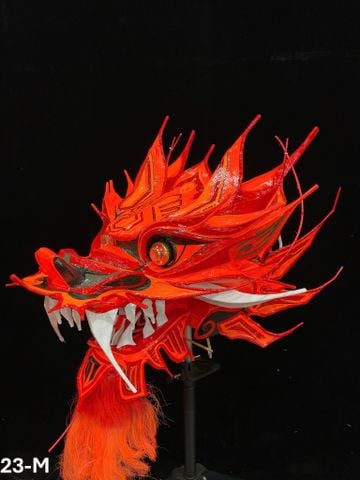 ĐẦU ĐUÔI RỒNG MALAY 23-M