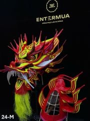 ĐẦU ĐUÔI RỒNG MALAY 24-M