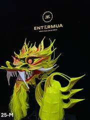 ĐẦU ĐUÔI RỒNG MALAY 25-M