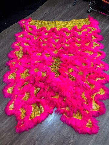 Đuôi quần lân Lông Hồng - Gấm Vàng