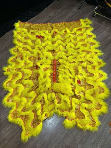 Đuôi quần lân Lông Vàng - Gấm Vàng