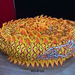 MÌNH RỒNG RO-B (UV)