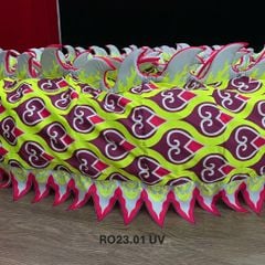 MÌNH RỒNG RO23.01 (UV)