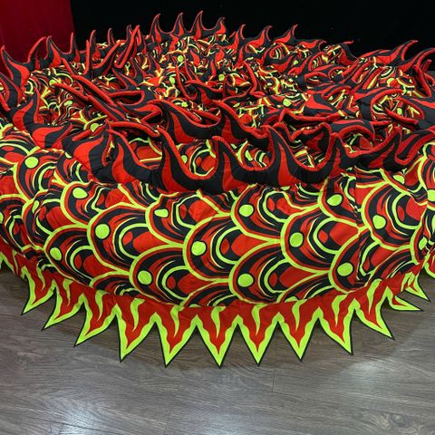 MÌNH RỒNG RO24 (UV)