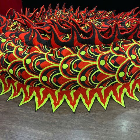 MÌNH RỒNG RO24 (UV)