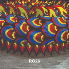 MÌNH RỒNG RO26