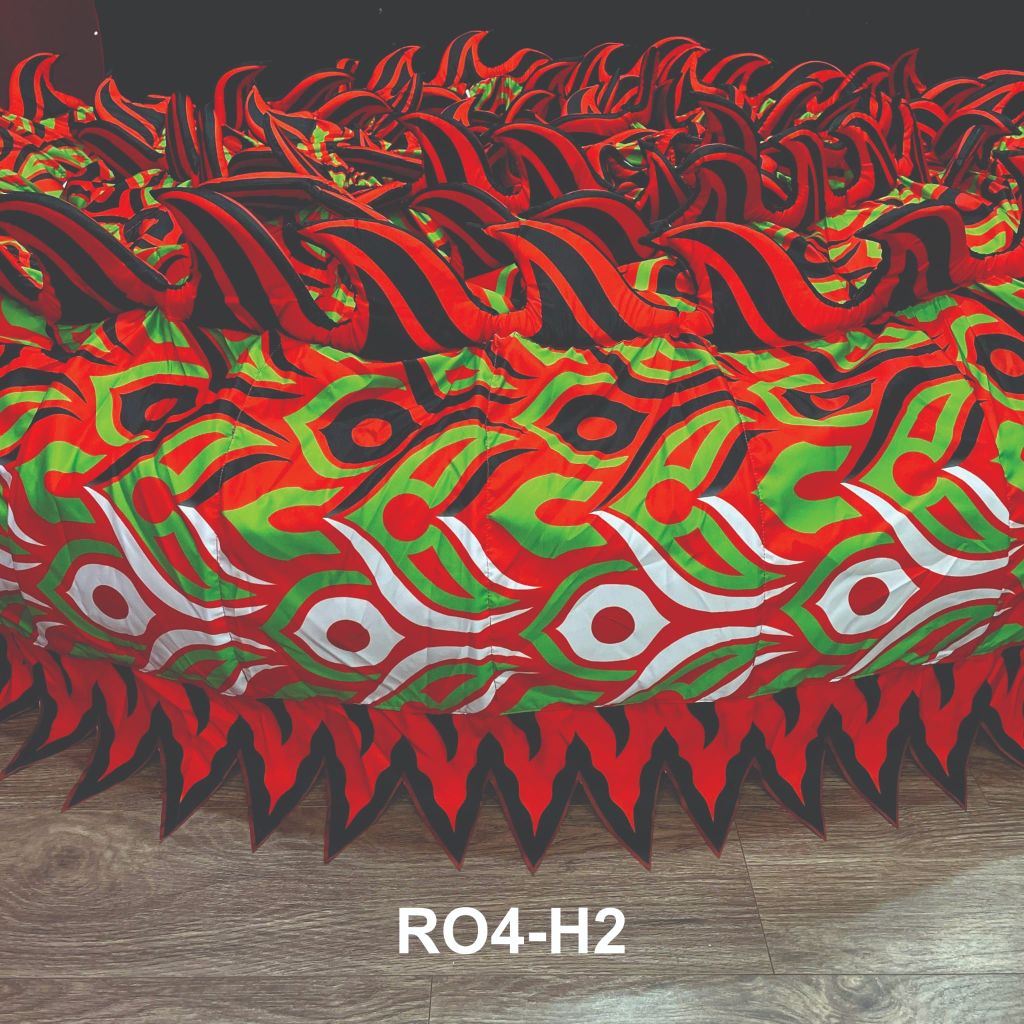 MÌNH RỒNG RO4-H2