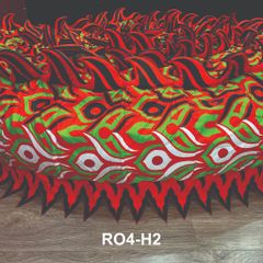 MÌNH RỒNG RO4-H2