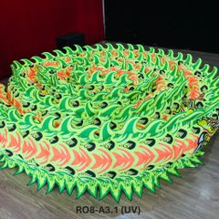 MÌNH RỒNG RO8-A3.1 (UV)