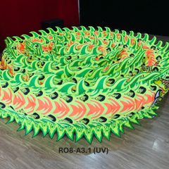 MÌNH RỒNG RO8-A3.1 (UV)