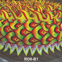 MÌNH RỒNG RO8-B1