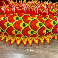 MÌNH RỒNG RO9-L21