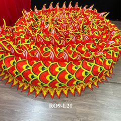 MÌNH RỒNG RO9-L21