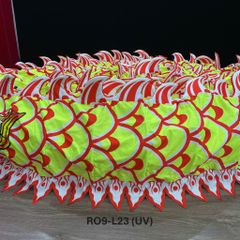 MÌNH RỒNG RO9-L23 (UV)