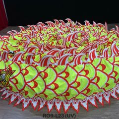 MÌNH RỒNG RO9-L23 (UV)