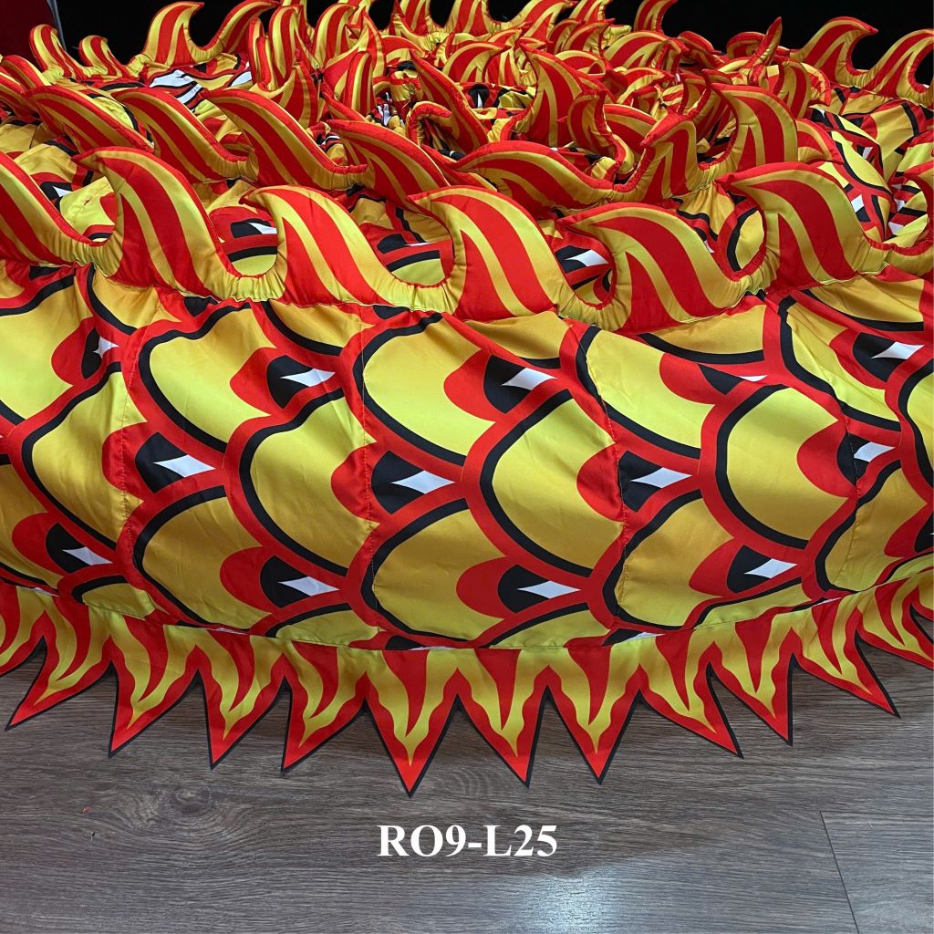 MÌNH RỒNG RO9-L25