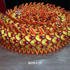 MÌNH RỒNG RO9-L25