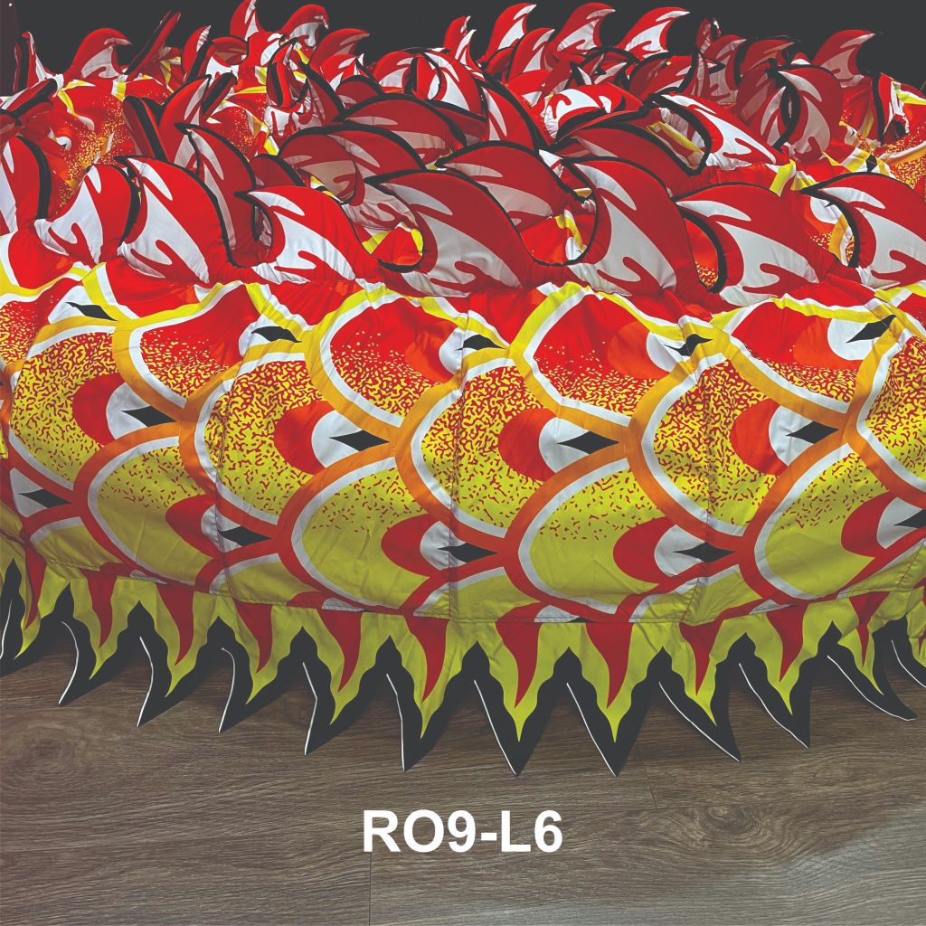 MÌNH RỒNG RO9-L6