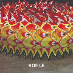 MÌNH RỒNG RO9-L6