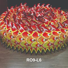 MÌNH RỒNG RO9-L6