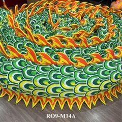 MÌNH RỒNG RO9-M14A