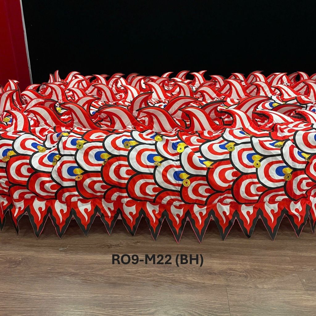 MÌNH RỒNG RO9-M22 (BH)