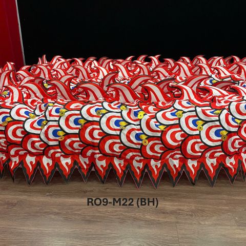 MÌNH RỒNG RO9-M22 (BH)